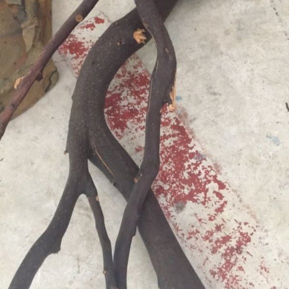 Reptile Habitat Tank Accessories - Picture 3 of 3